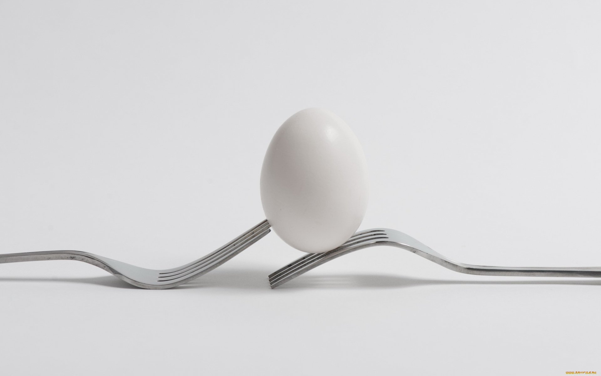 2K Quad HD PC desktop wallpaper: minimalist food image of a single white egg balanced between two curved forks on a white background.