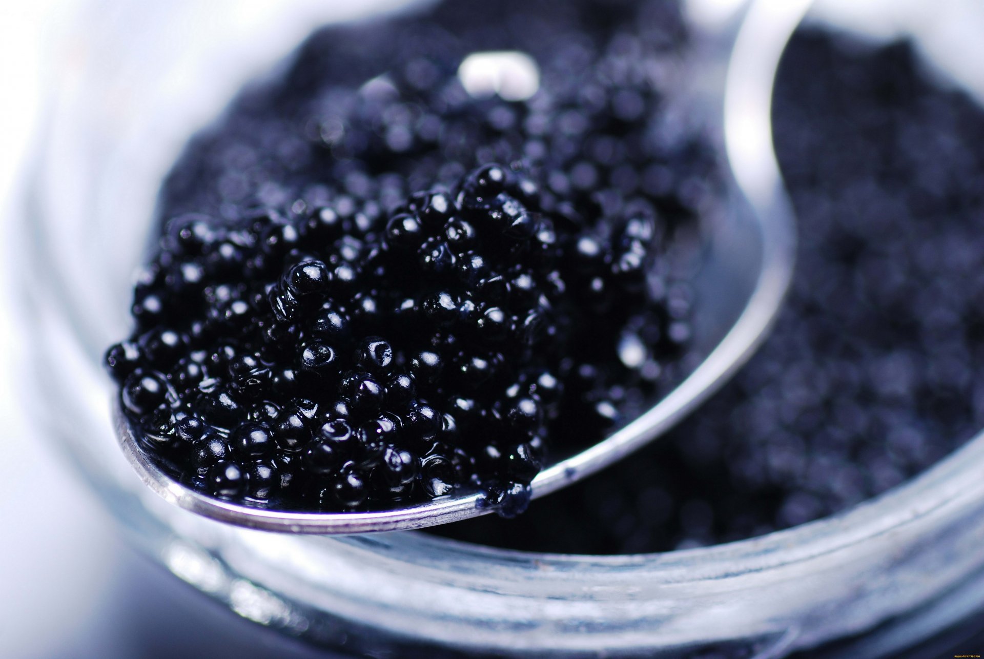 Close-up 4K Ultra HD desktop wallpaper of shiny black caviar served on a silver spoon above a glass jar.
