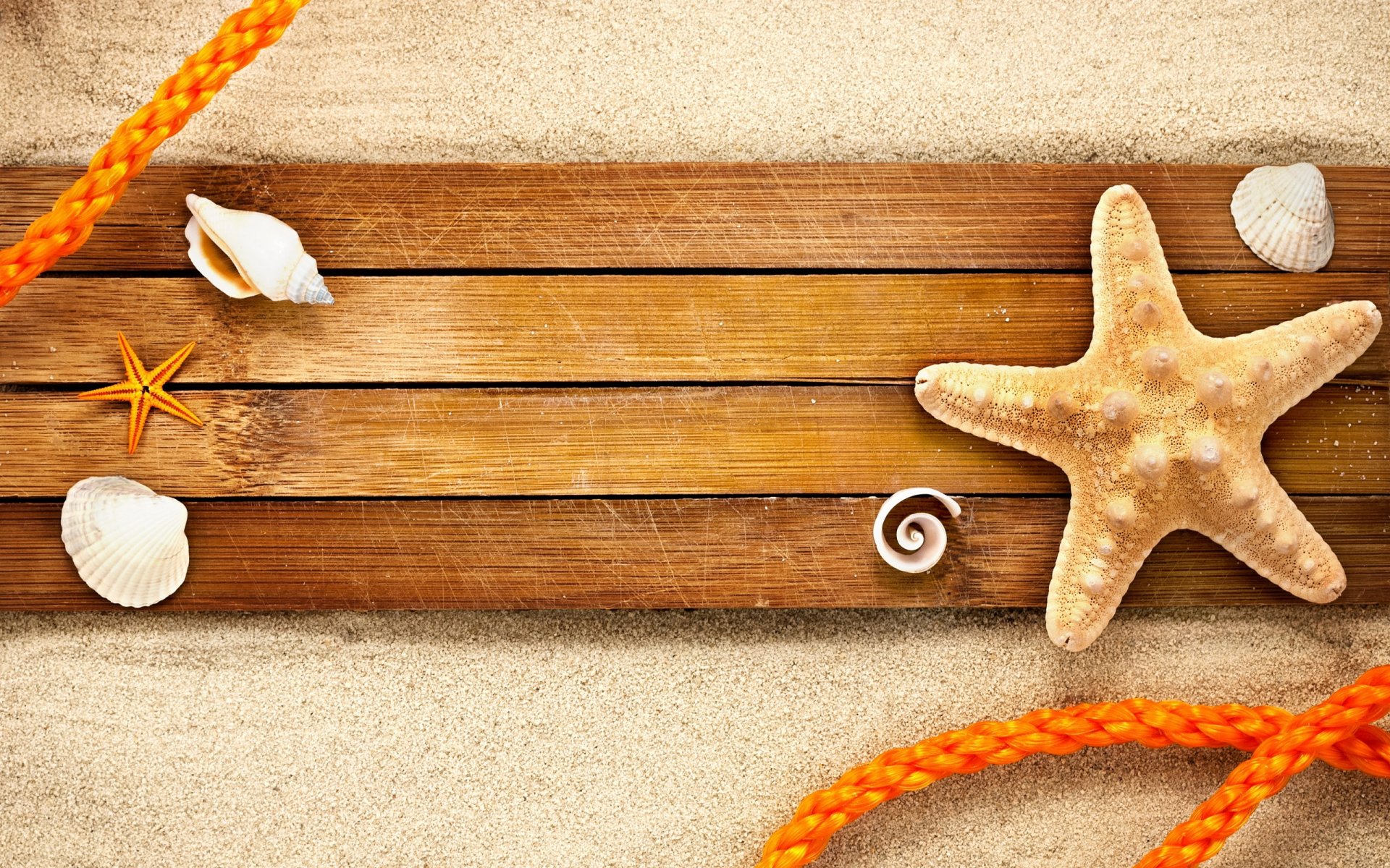2K Quad HD PC desktop wallpaper showing a starfish, assorted seashells and orange rope on sand with horizontal wooden planks — a beach nature background
