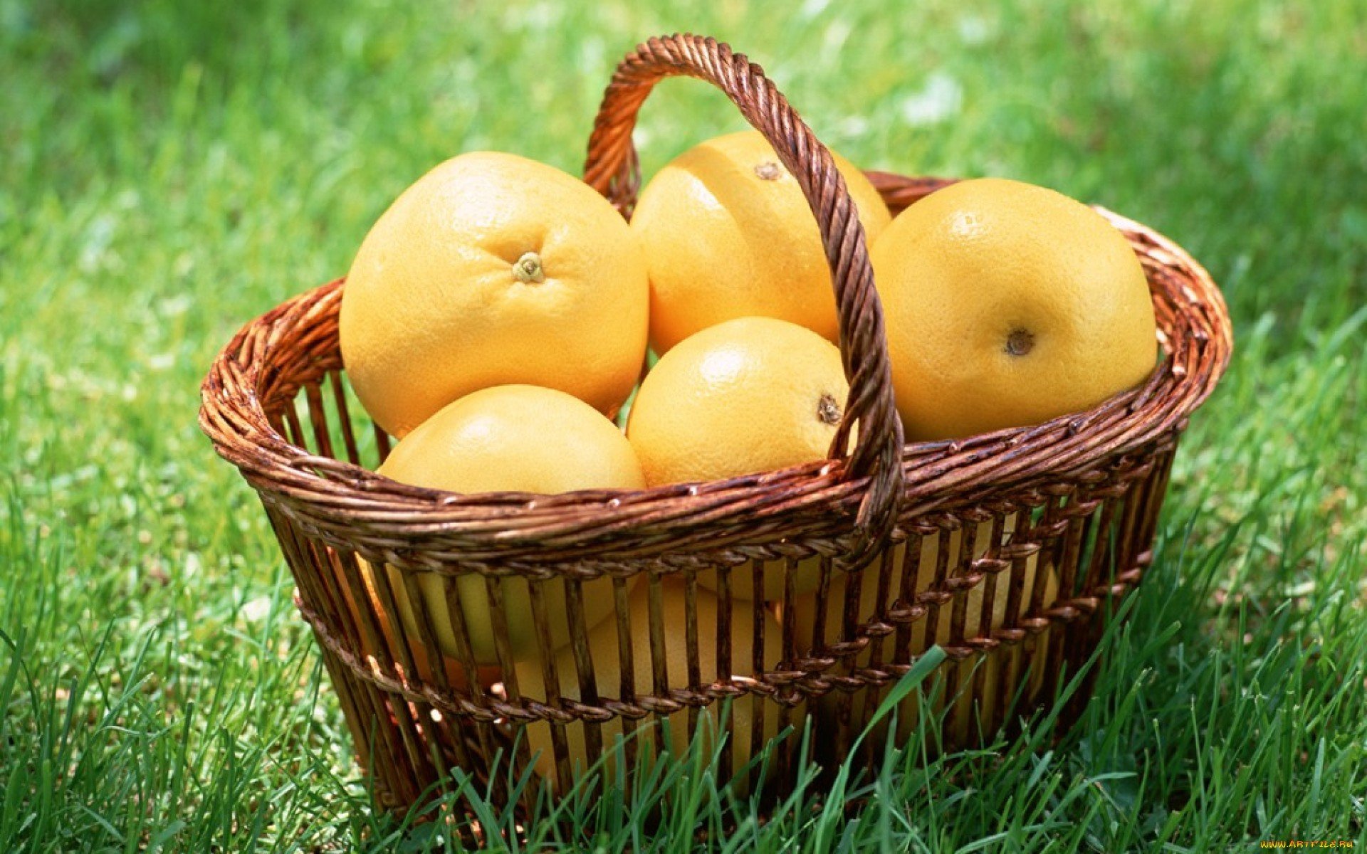 HD desktop wallpaper featuring a wicker basket filled with bright orange-colored citrus fruits set on green grass, highlighting fresh food and vibrant natural colors.