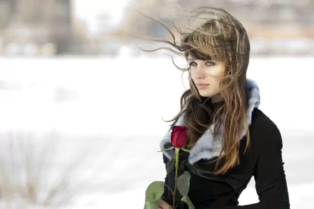 A woman stands in a snowy landscape, holding a red rose, with wind blowing her hair. Her expression is contemplative, complementing the serene yet touching mood of the HD desktop wallpaper background.