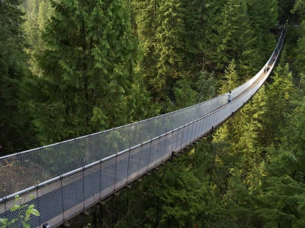 man made capilano suspension bridge HD Desktop Wallpaper | Background Image