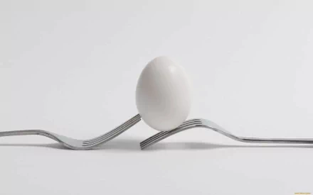 2K Quad HD PC desktop wallpaper: minimalist food image of a single white egg balanced between two curved forks on a white background.