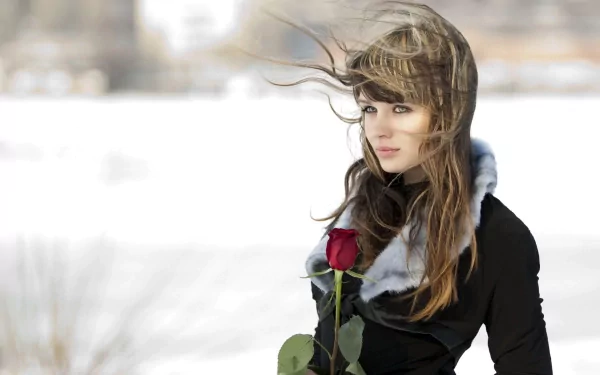 A woman stands in a snowy landscape, holding a red rose, with wind blowing her hair. Her expression is contemplative, complementing the serene yet touching mood of the HD desktop wallpaper background.