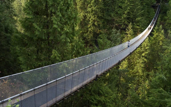 man made capilano suspension bridge HD Desktop Wallpaper | Background Image