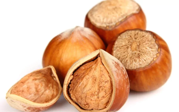 food hazelnut HD Desktop Wallpaper | Background Image