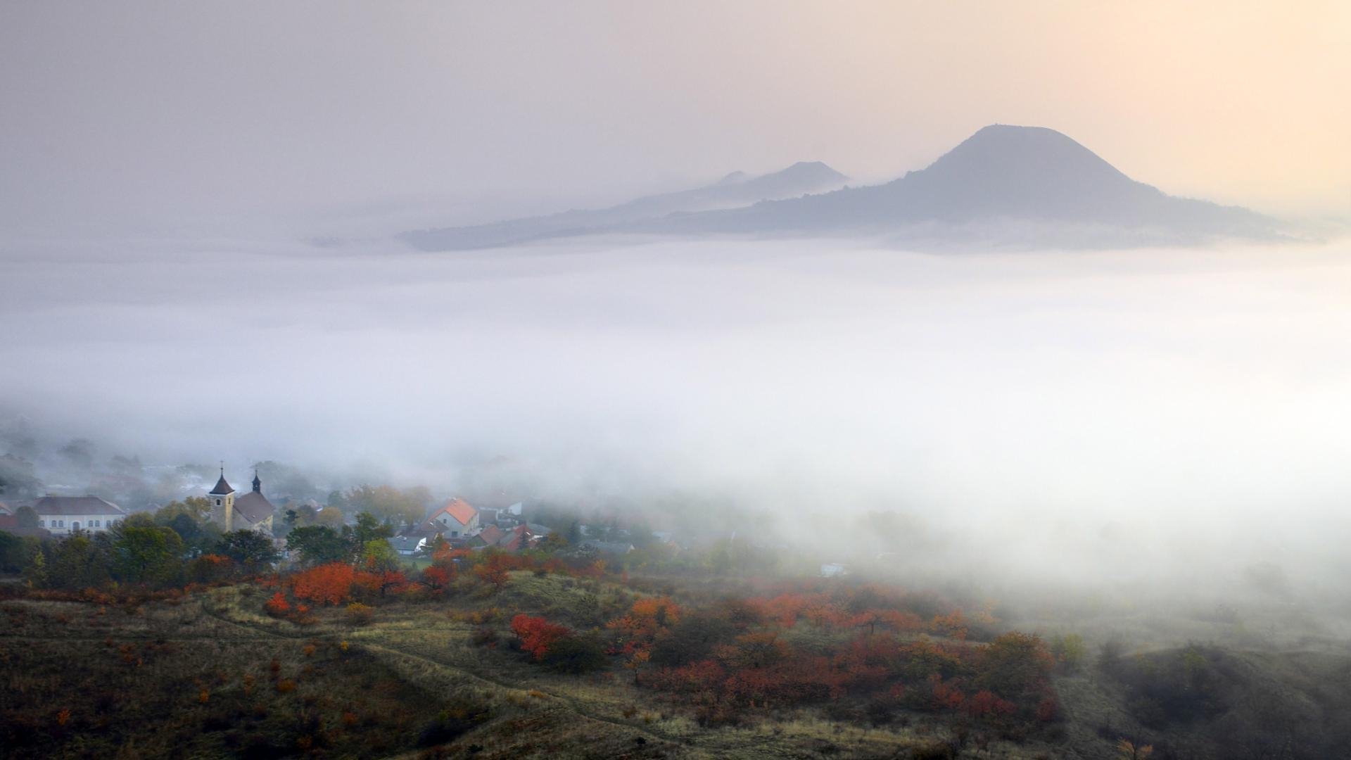 Download Nature Fog HD Wallpaper