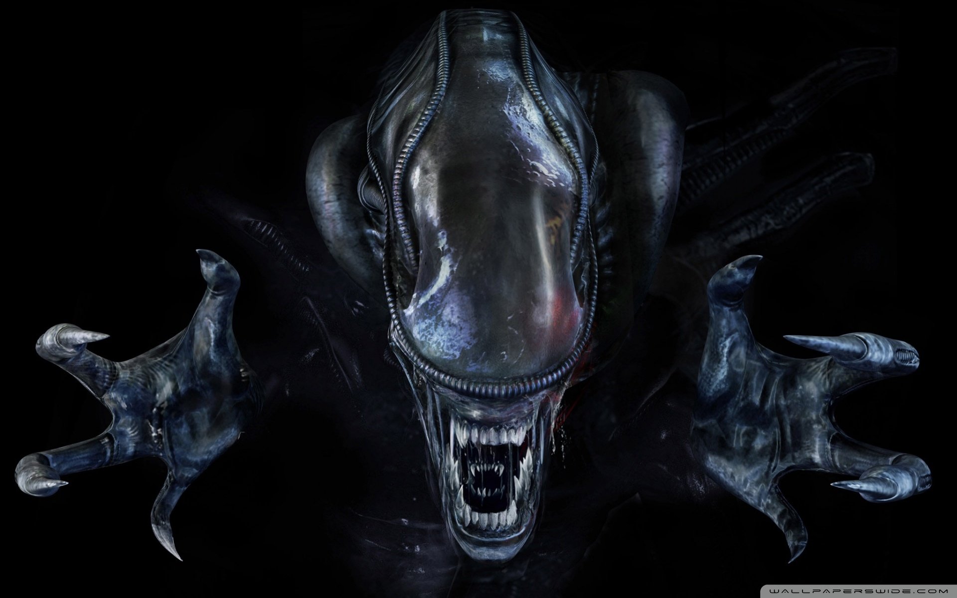 Download Alien Video Game Aliens: Colonial Marines HD Wallpaper