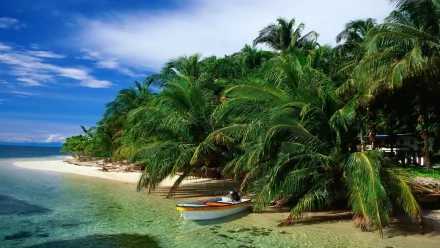 HD photography of a serene beach in Bocas del Toro with clear blue skies, lush palm trees, and a small boat resting on the shore, captured as a desktop wallpaper.