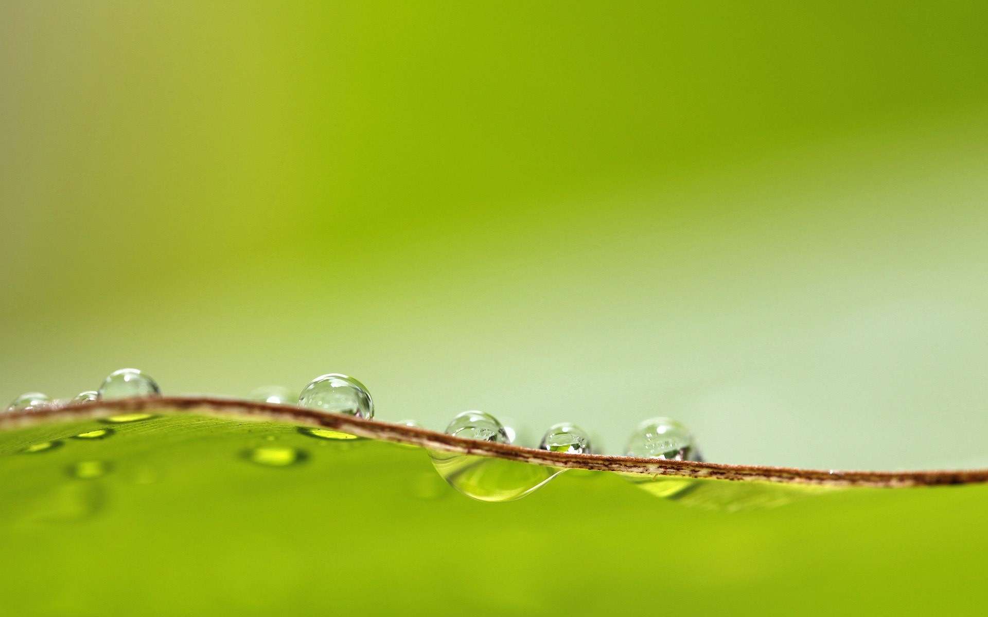 Goutte d'Eau Full HD Fond d'écran and Arrière-plan 