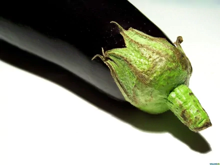food eggplant HD Desktop Wallpaper | Background Image