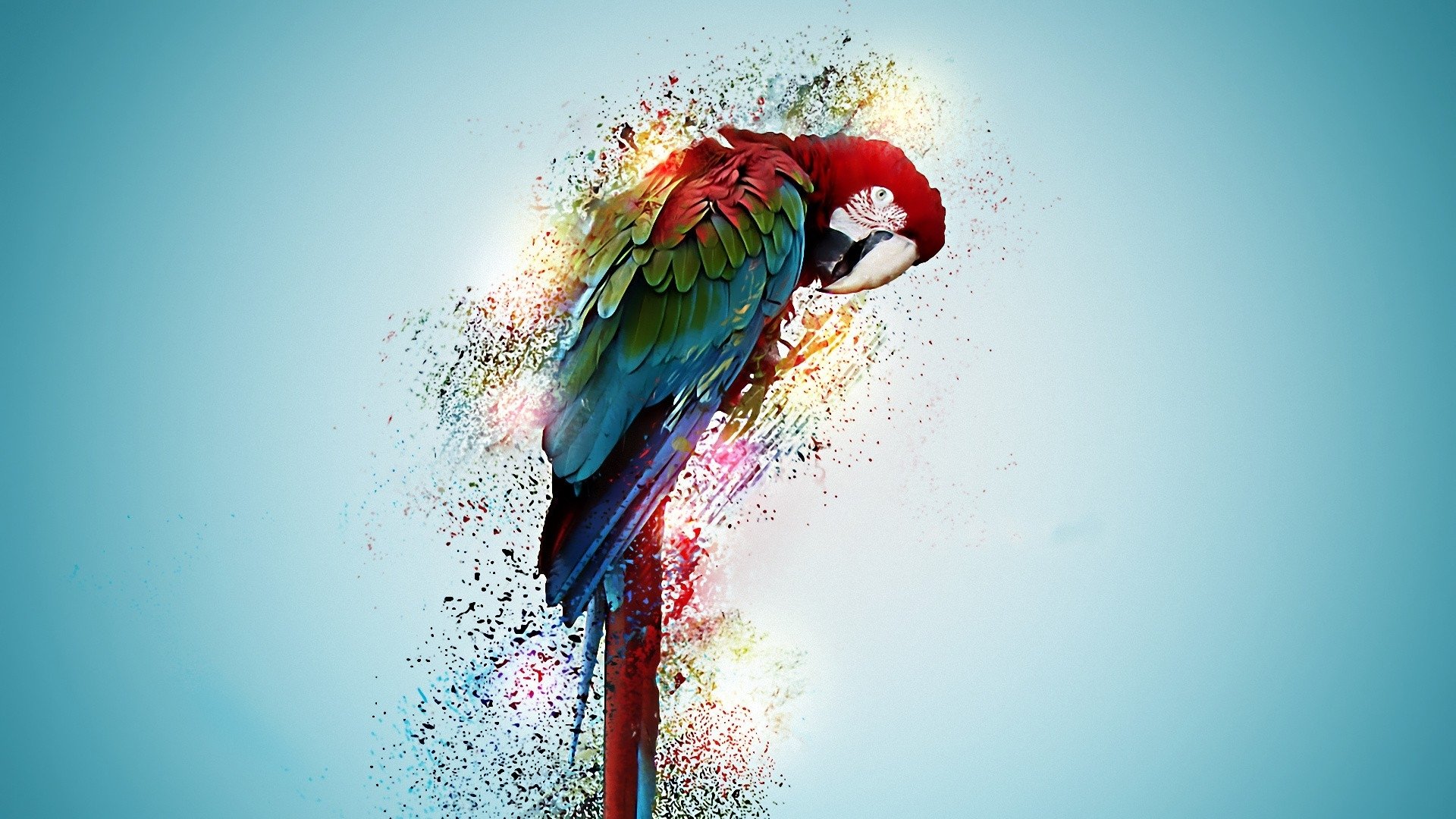 HD PC desktop wallpaper of a red-and-green macaw (animal) perched in a vibrant paint-splatter, watercolor style against a pale blue background