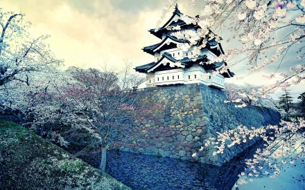 A serene HD wallpaper featuring an oriental Japanese castle surrounded by blossoming cherry trees in spring within a city setting.
