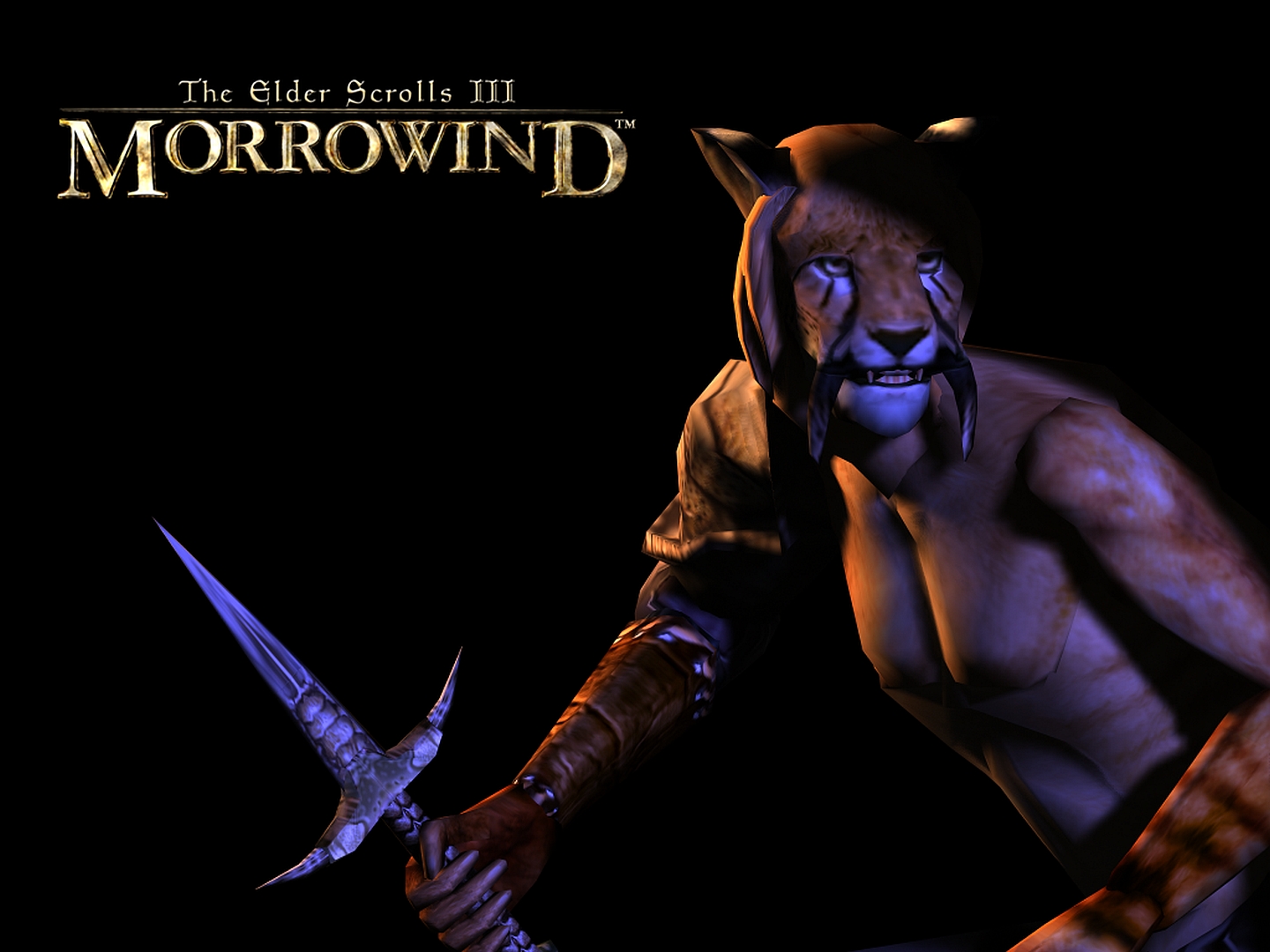 Video Game The Elder Scrolls III: Morrowind HD Wallpaper | Background Image