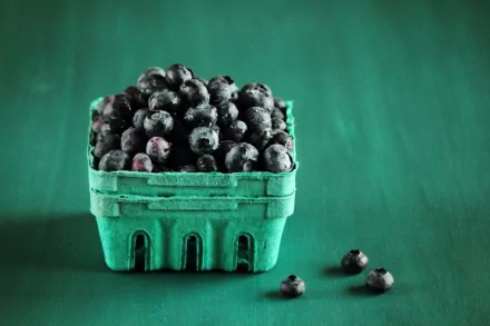 food blueberry HD Desktop Wallpaper | Background Image