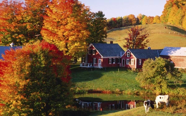 A scenic farm landscape featuring a charming red house, vibrant autumn foliage, a serene pond, and a cow, creating a tranquil and colorful atmosphere for a desktop wallpaper.