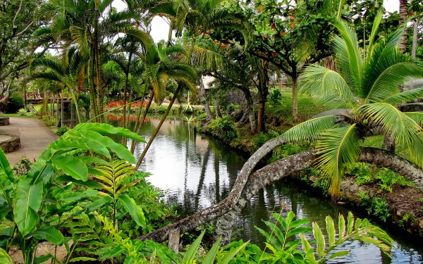 Photography Park HD Wallpaper | Background Image