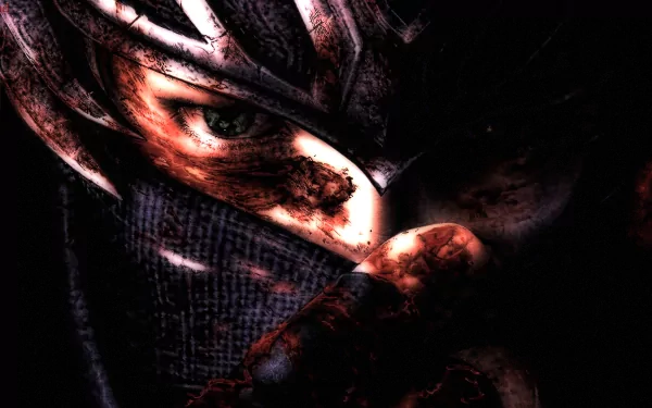 video game ninja gaiden 3 HD Desktop Wallpaper | Background Image