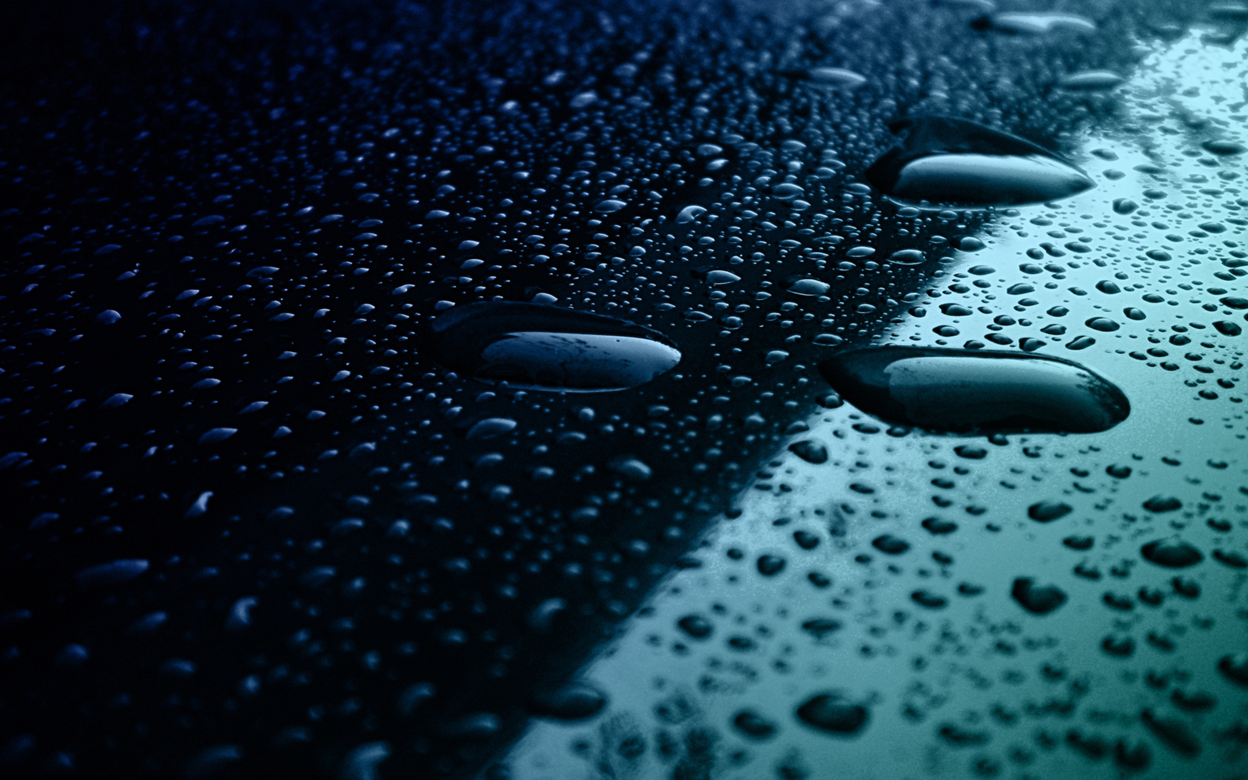 Water Drop HD Wallpaper | Background Image | 2560x1600 | ID:375118