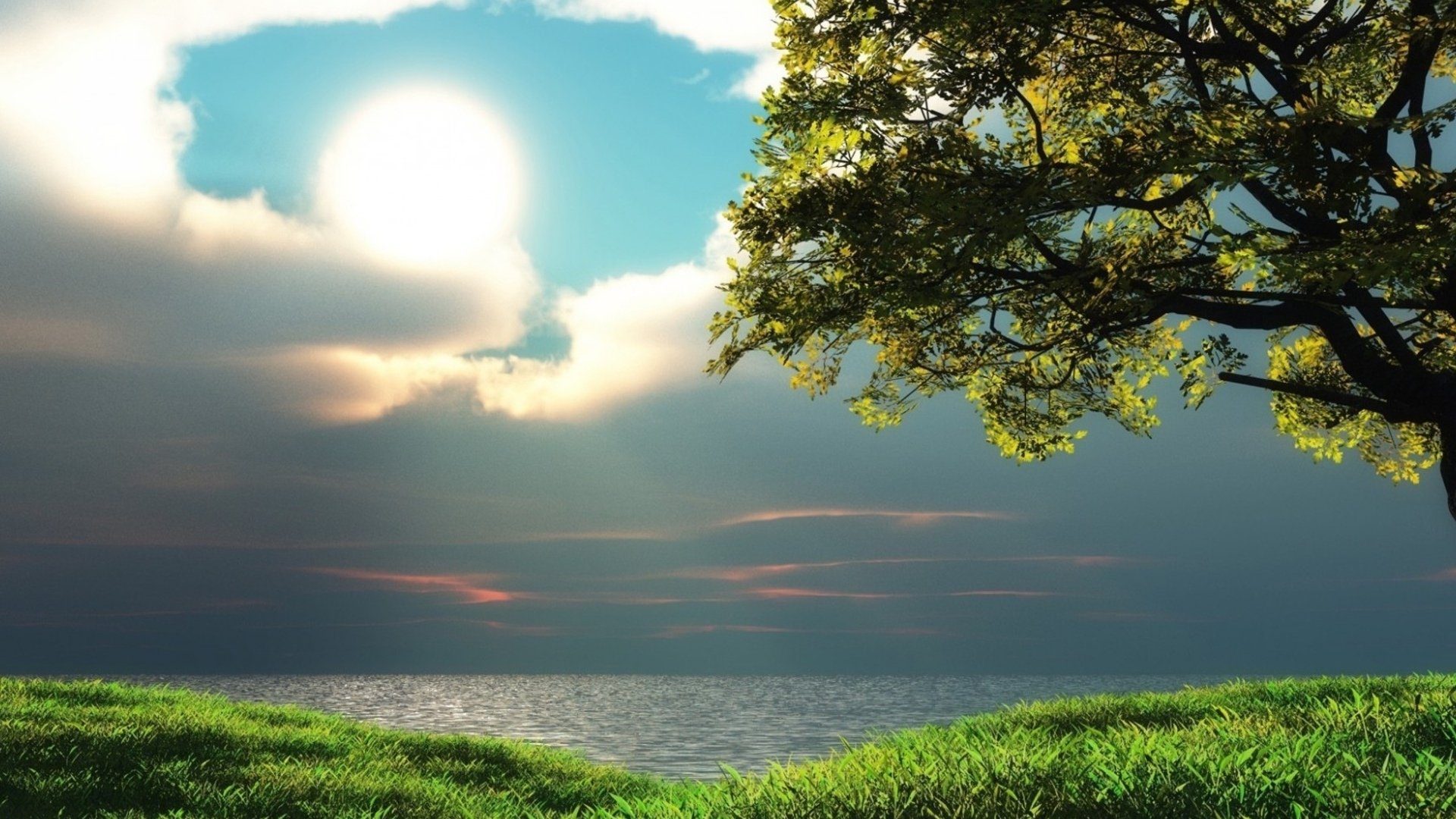 HD PC desktop wallpaper background — nature landscape: sunlit sky over a calm sea, green grassy foreground and a leafy tree arching in from the right.