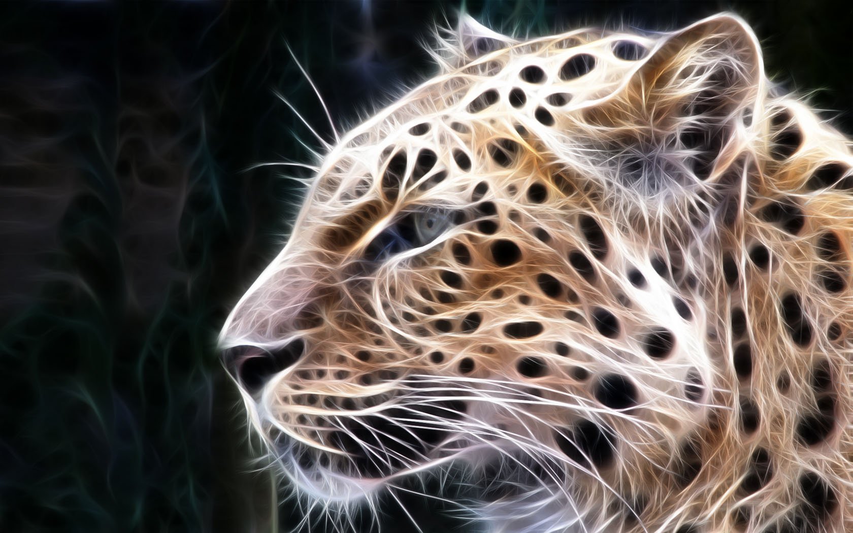 Download Animal Leopard  Wallpaper