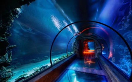 aquarium photography place HD Desktop Wallpaper | Background Image