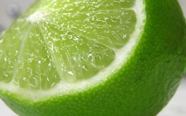 Close-up HD PC desktop wallpaper of a fresh, juicy lime slice highlighting its vibrant green color and textured surface.