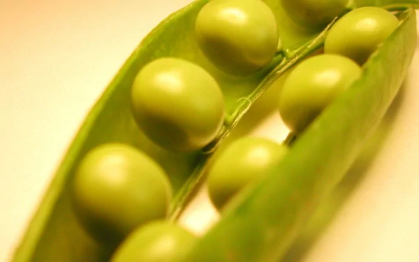 HD PC desktop wallpaper: close-up of a bright green pea pod opened to reveal glossy peas against a soft yellow background.