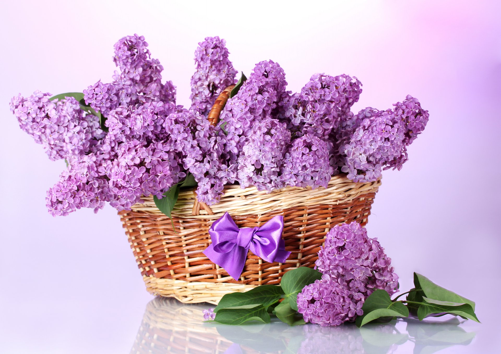 Download Lilac Photography Still Life 4k Ultra HD Wallpaper