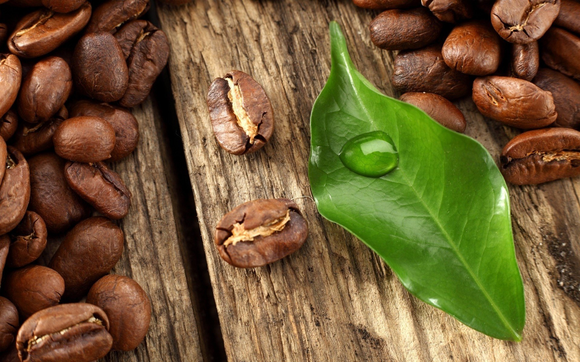 HD Wallpaper: Coffee Beans and Fresh Leaves