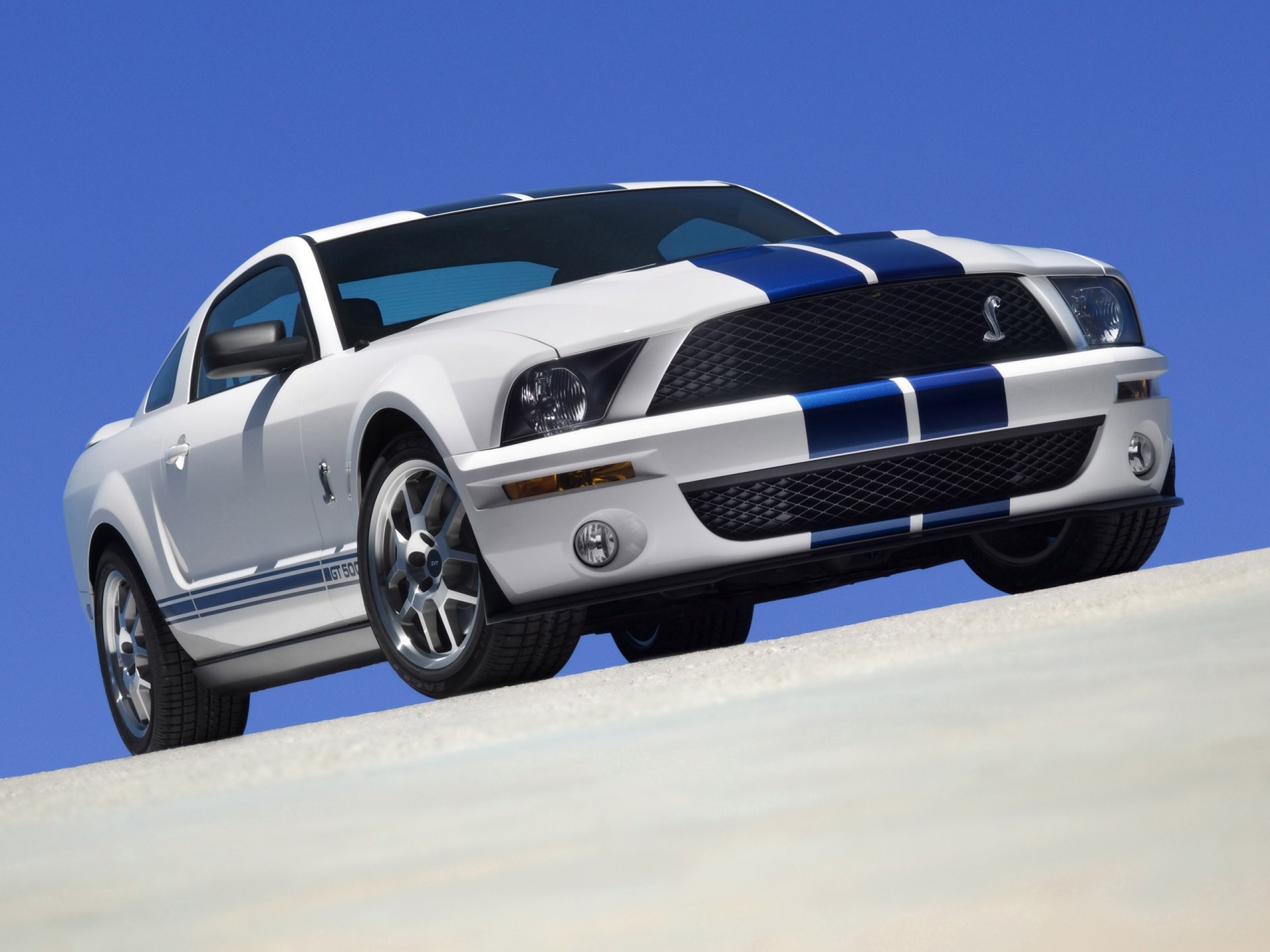 Vehicles Ford Mustang Shelby GT500 HD Wallpaper | Background Image