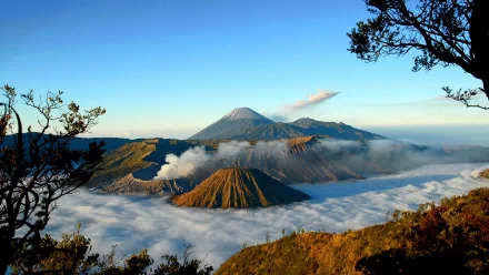 HD desktop wallpaper of Mount Bromo: layered volcanic peaks rising above a sea of clouds at sunrise, framed by foreground trees and rugged ridgelines.