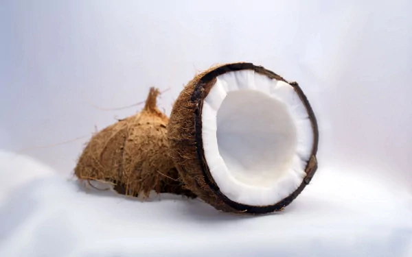 A close-up of a split coconut, showcasing its white flesh and brown shell, set against a soft white background. This vibrant image can serve as an enticing desktop wallpaper or background.