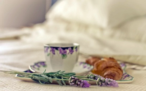 food breakfast HD Desktop Wallpaper | Background Image