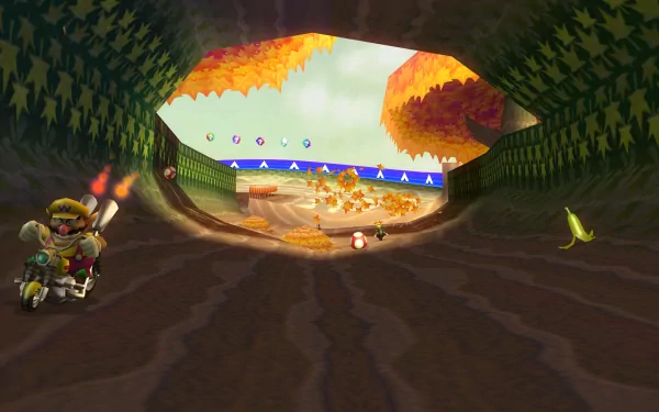 A vibrant HD wallpaper from Mario Kart Wii, featuring a character racing through a colorful tunnel surrounded by autumn leaves, with various items visible along the track.