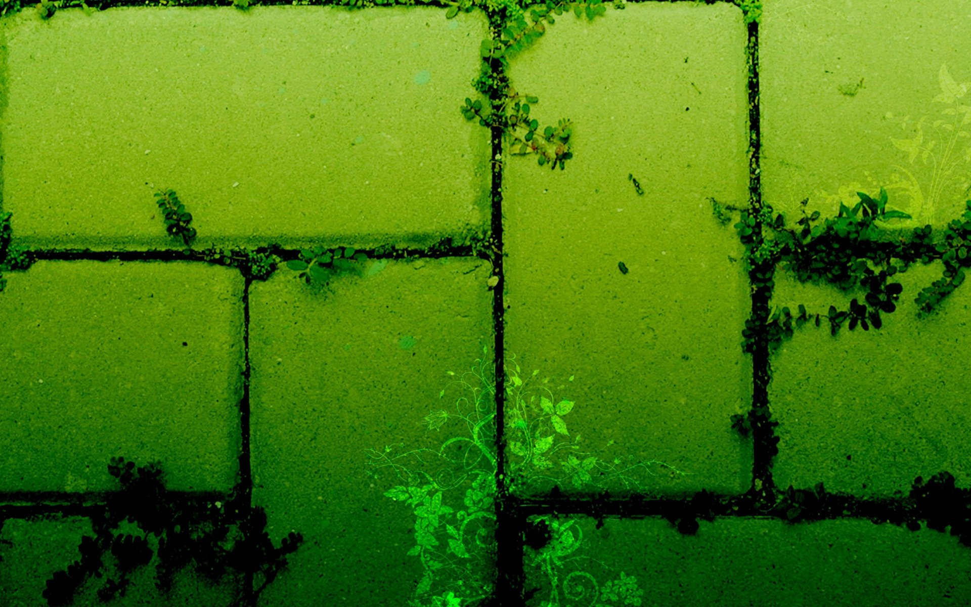 HD photography of green moss-covered bricks forming a textured pattern, featured as a PC desktop wallpaper and background.