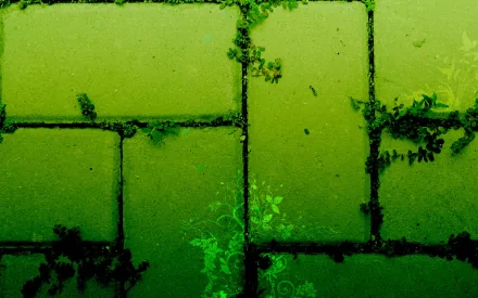 HD photography of green moss-covered bricks forming a textured pattern, featured as a PC desktop wallpaper and background.