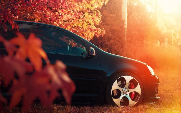 HD PC desktop wallpaper featuring a black Volkswagen car parked beside vibrant autumn foliage glowing in warm sunlight.