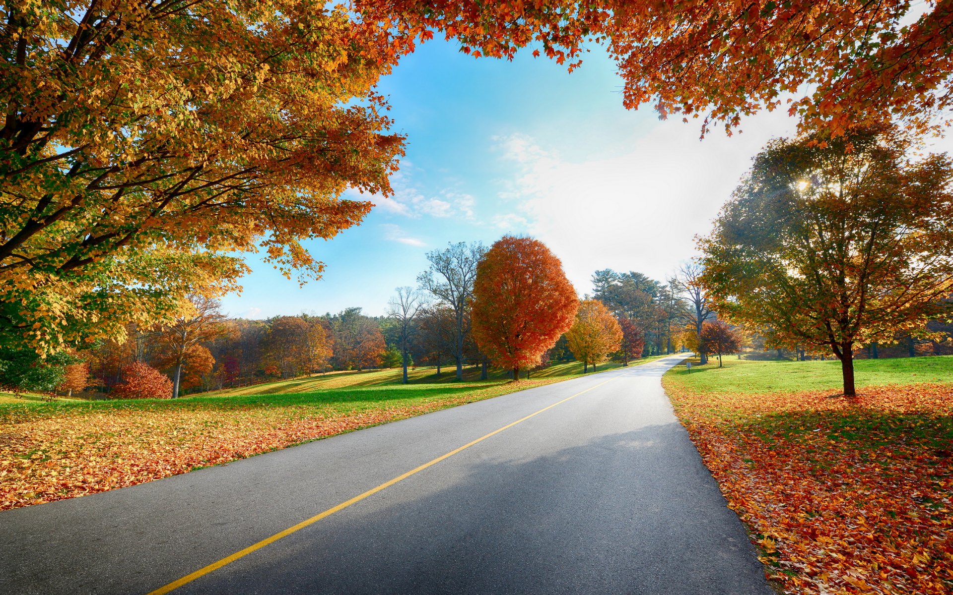 Serene Autumn Drive: HD Road Through Vibrant Fall Foliage | 2560x1600 ...
