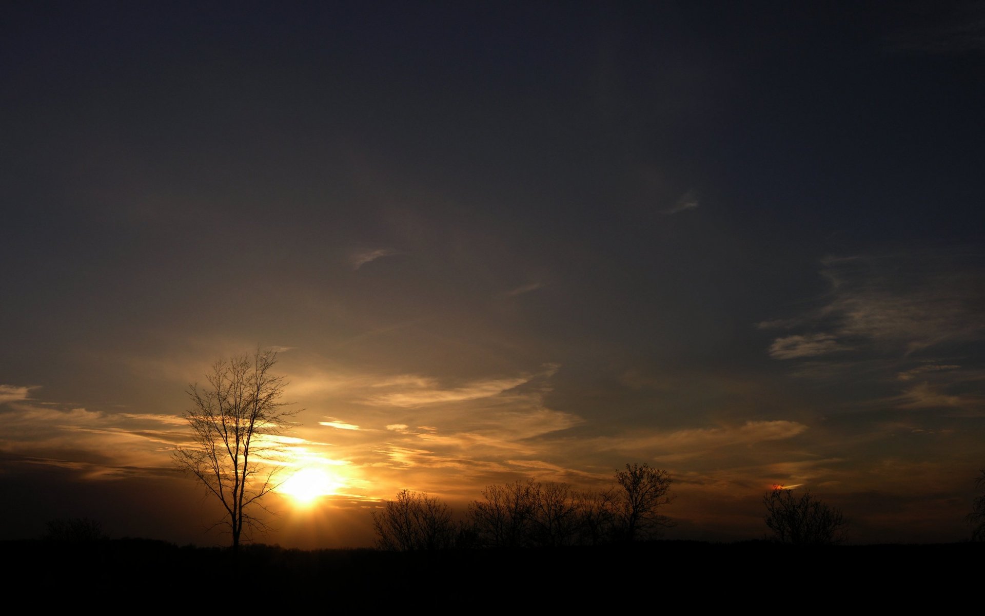 Download Nature Sunset HD Wallpaper | 2560x1600 | Wallpaper Abyss