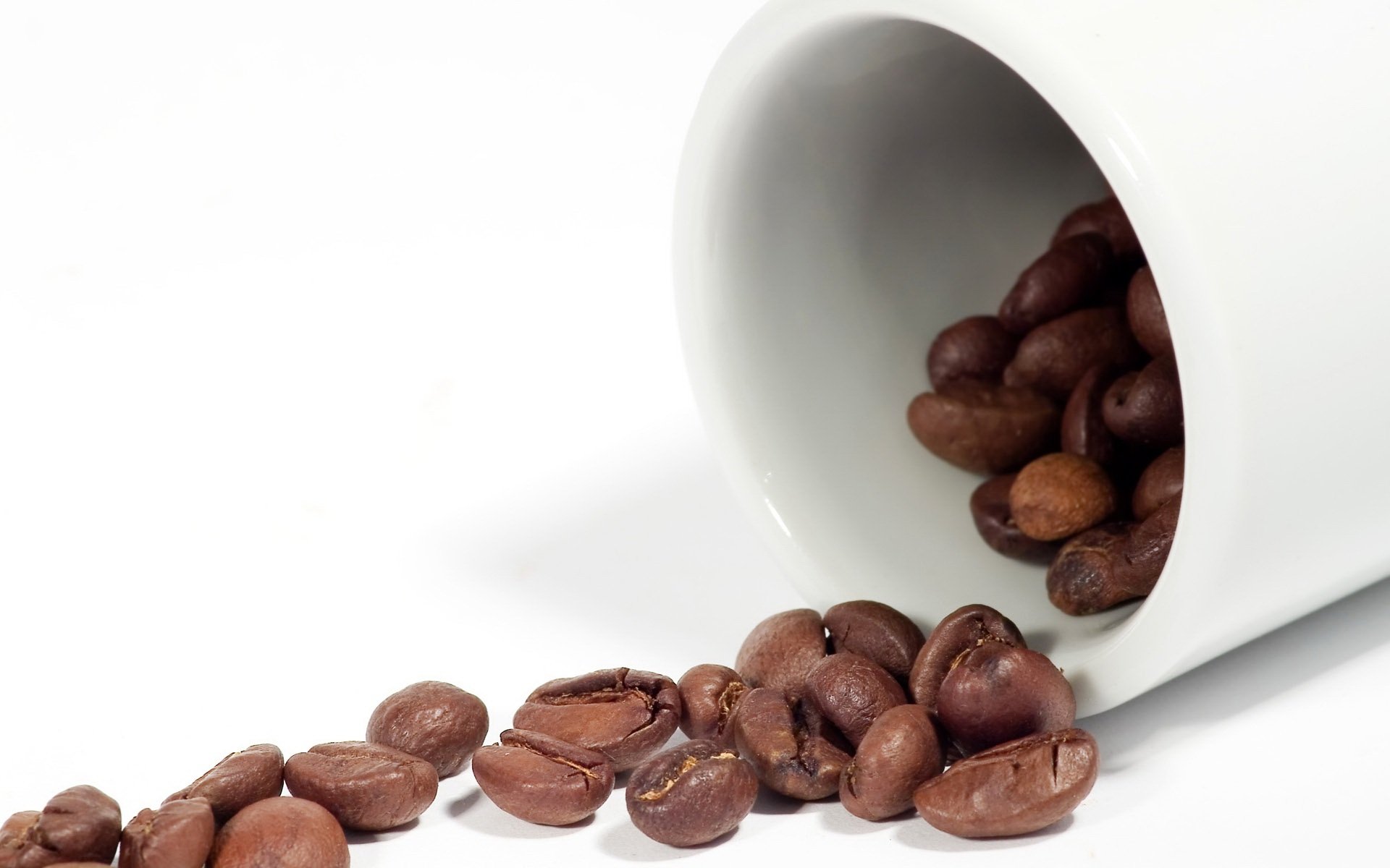 Close-up HD desktop wallpaper of coffee beans spilling from a white cup on a clean white background, highlighting rich brown tones and smooth textures.