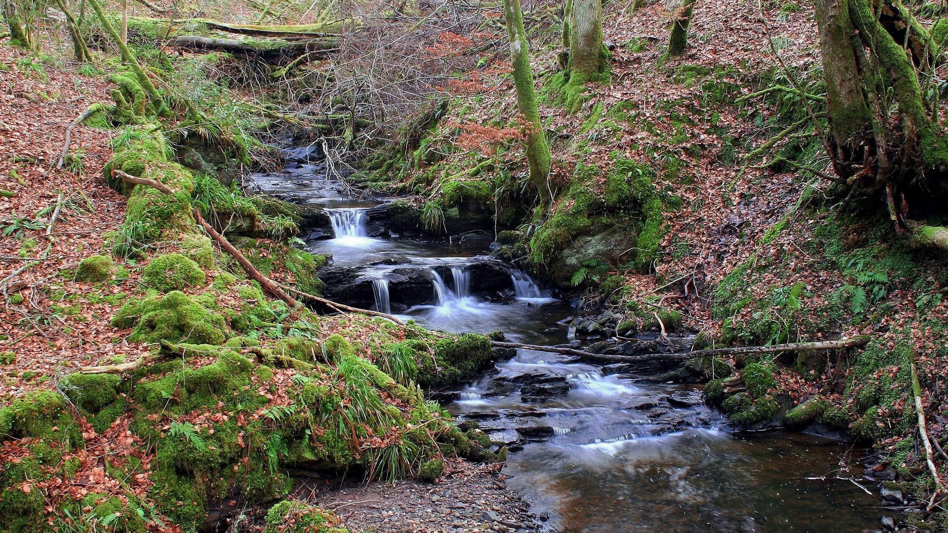 Nature Stream HD Wallpaper