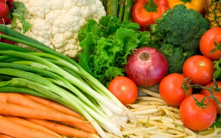 A vibrant assortment of fresh vegetables, including carrots, tomatoes, and broccoli, displayed artfully, making a colorful and inviting HD desktop wallpaper and background.