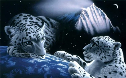 Animal snow leopard HD Desktop Wallpaper | Background Image