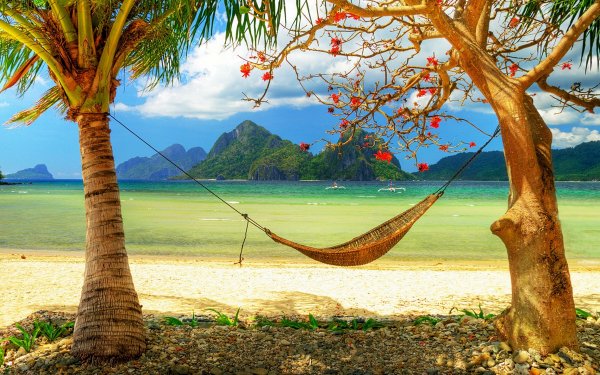 Photography Beach Palm Tree Lagoon Tropics HD Wallpaper | Background Image
