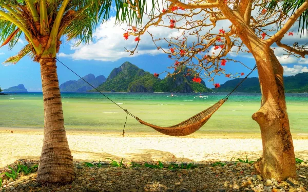 A serene tropical lagoon scene featuring palm trees, a hammock strung between two trees, and a picturesque beach backdrop with mountains in the distance. HD desktop wallpaper.