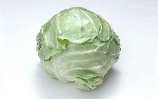 HD PC desktop wallpaper featuring a fresh green cabbage on a clean white background, highlighting natural food elements.