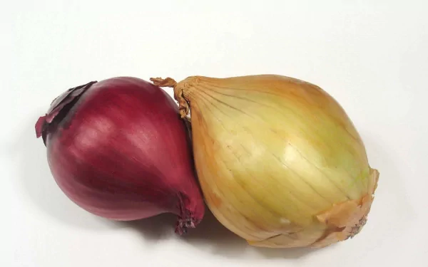 HD desktop wallpaper featuring a close-up of a red onion and a yellow onion against a white background.
