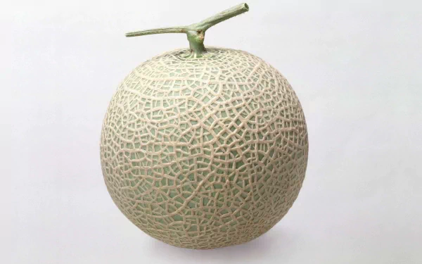 food melon HD Desktop Wallpaper | Background Image