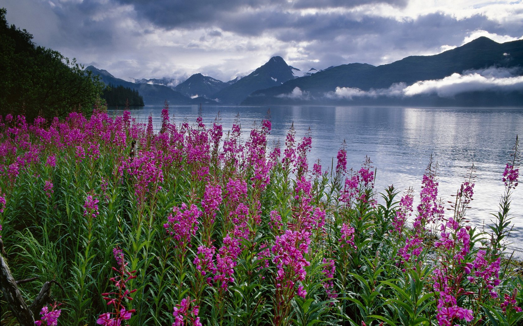 Download Nature River Wallpaper